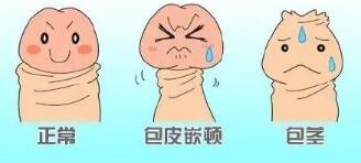 ���԰�����Σ������Щ