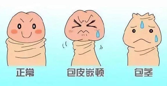 ���˰�����ʲôΣ��